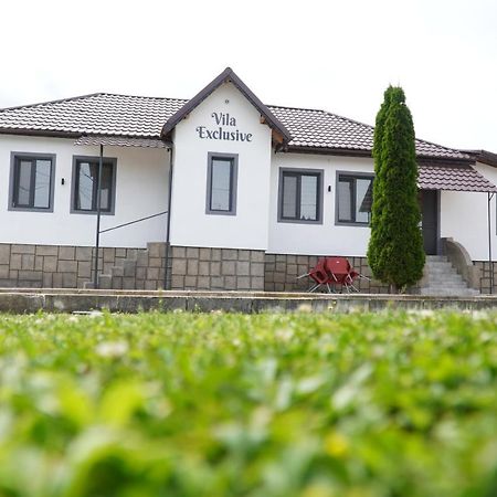 Vila Exclusive Târgu Jiu Exterior foto