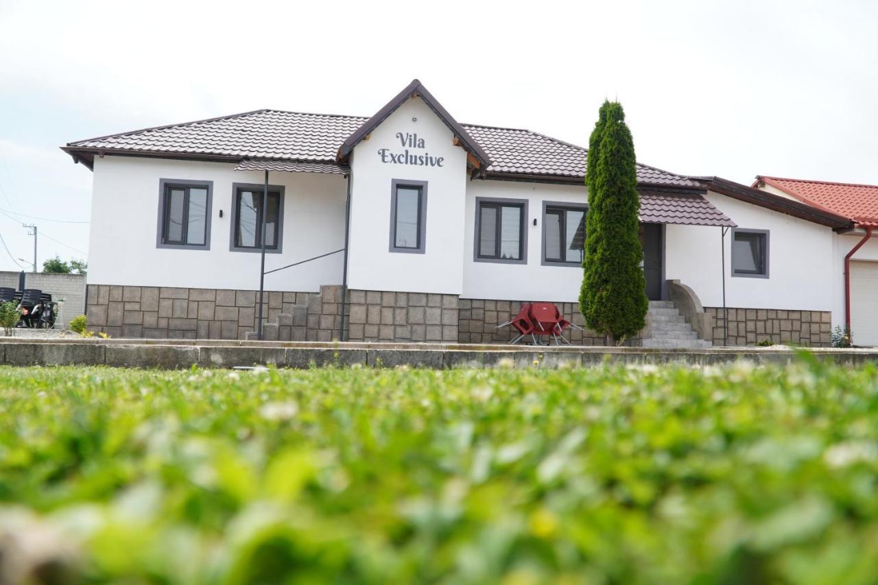 Vila Exclusive Târgu Jiu Exterior foto